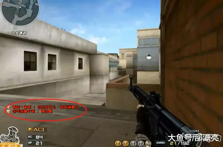 英雄联盟LEC G2战队成立女队，你会看好他们吗？