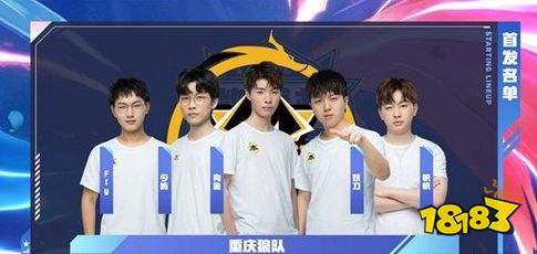 Vitality 战胜 Wildcard 进入 BLAST Rivals 2025 春季季后赛